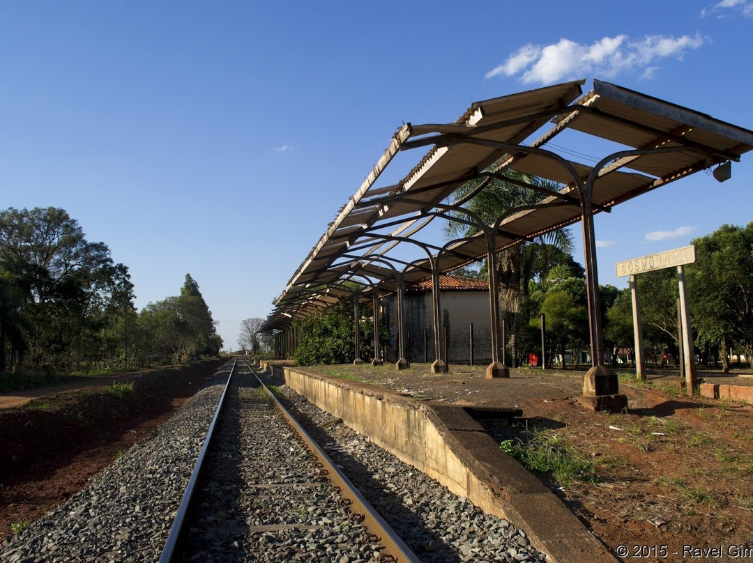 Cosmorama旅游攻略图片