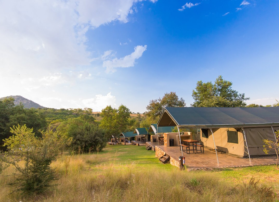 Bushwillow Tented Camp