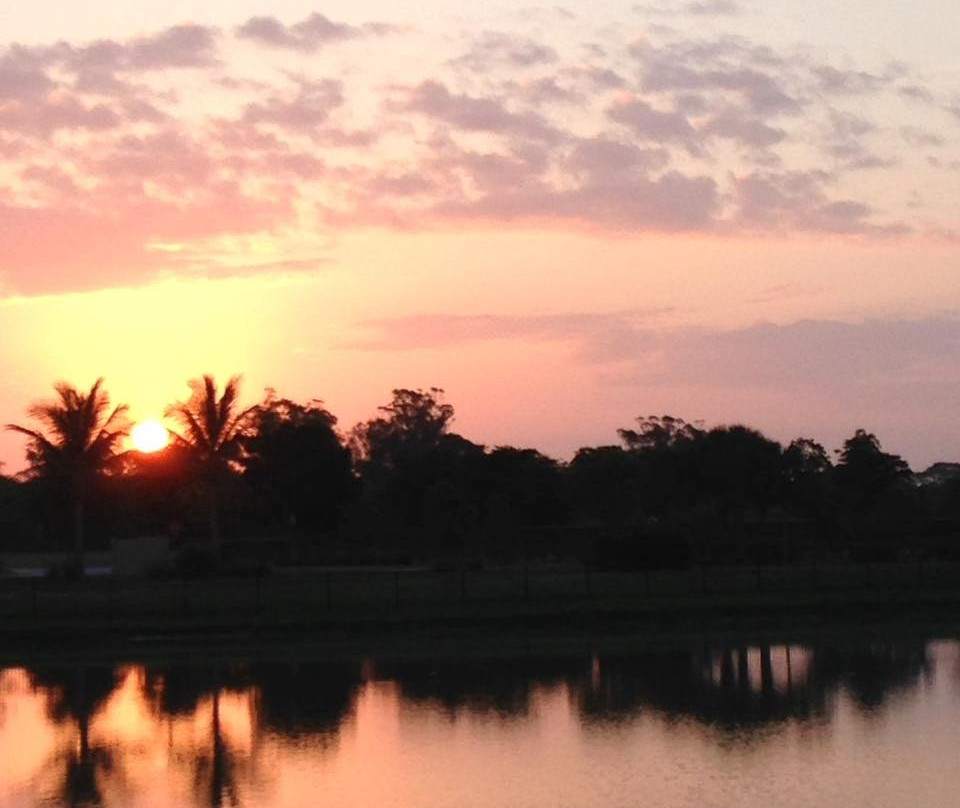 Maxine Barritt Park-威尼斯必去景点