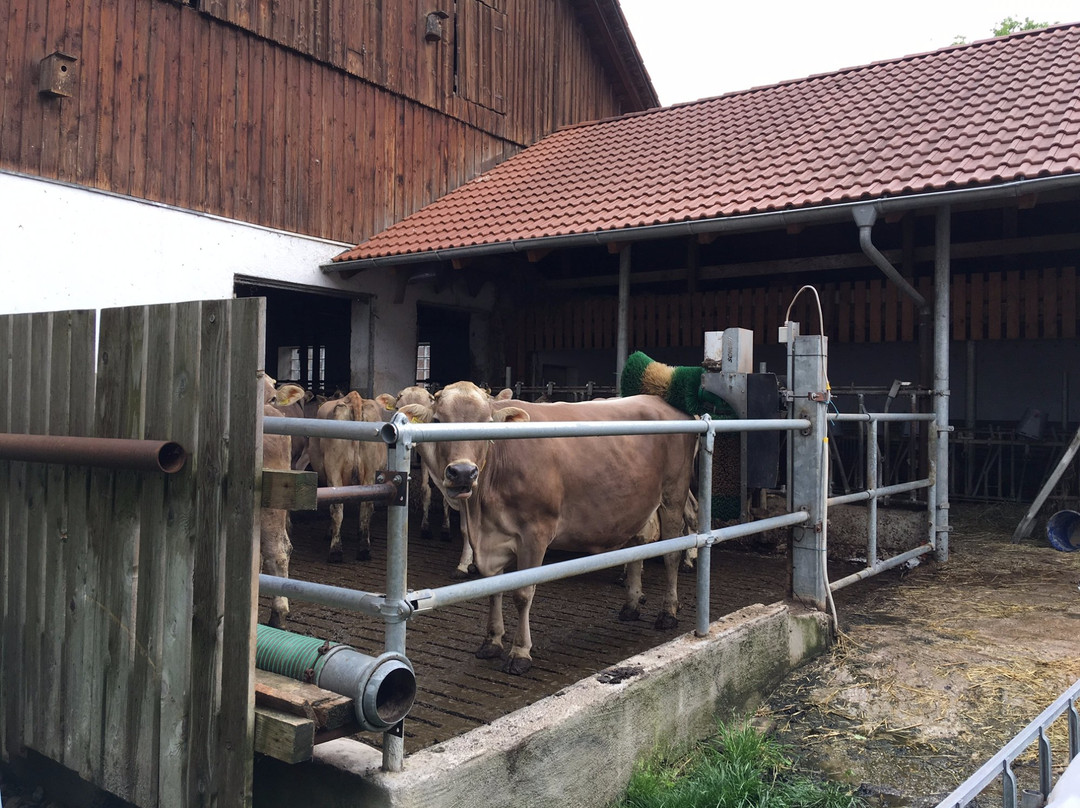 Gasthof zur Post主图