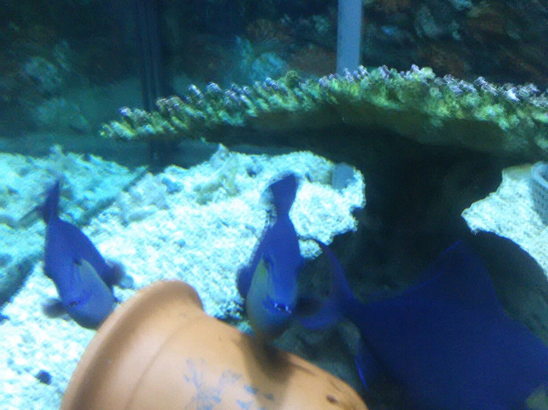 合肥汉海极地海洋世界-合肥市必去景点