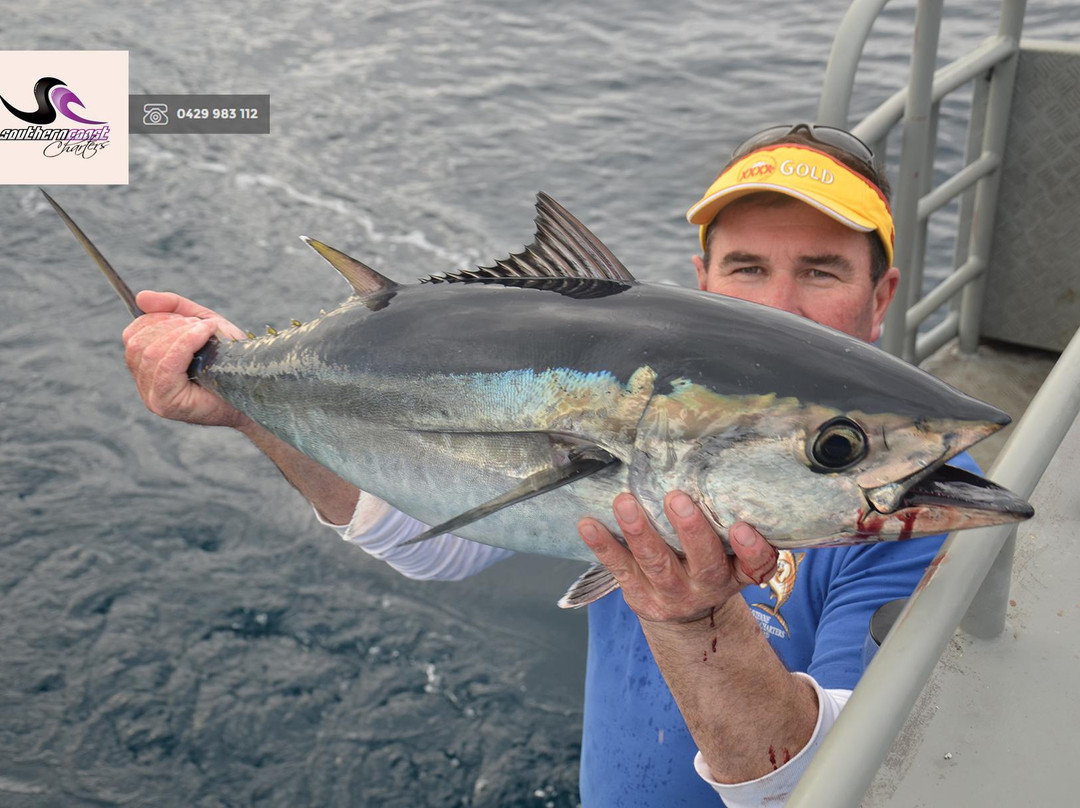 Southern Coast Charters-仙女港必去景点