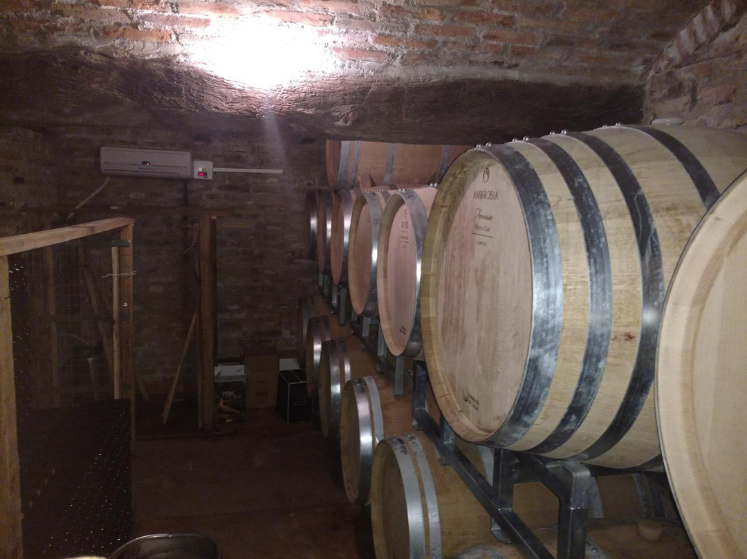 Bodega San Javier-圣哈维尔必去景点