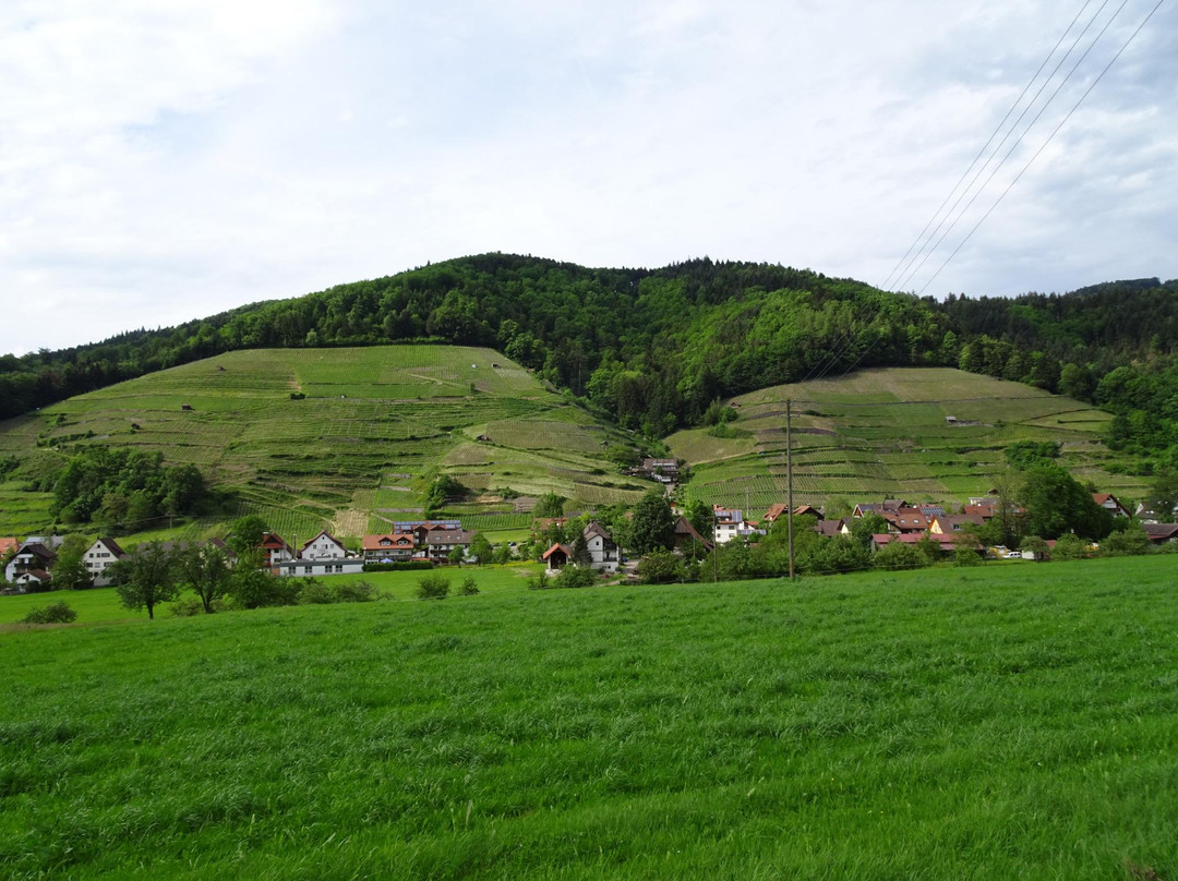 Minotel Tobererhof主图