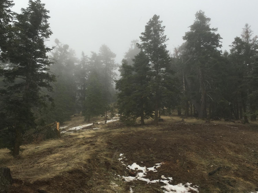 Tehachapi Mountain Park-特哈查比必去景点