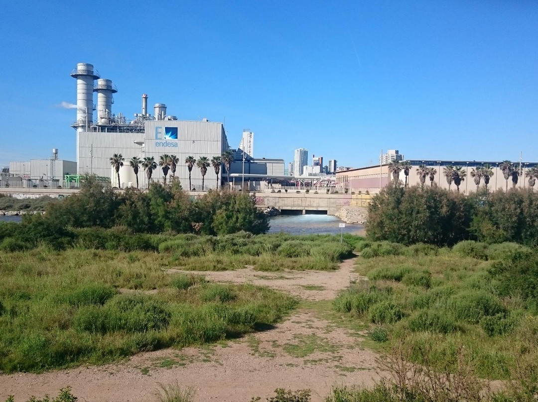 Parc Fluvial del Besos景点图片