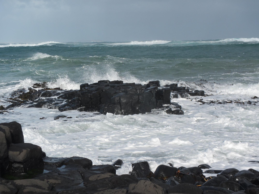 Basalt Columns-Chatham Island (Rekohu)必去景点