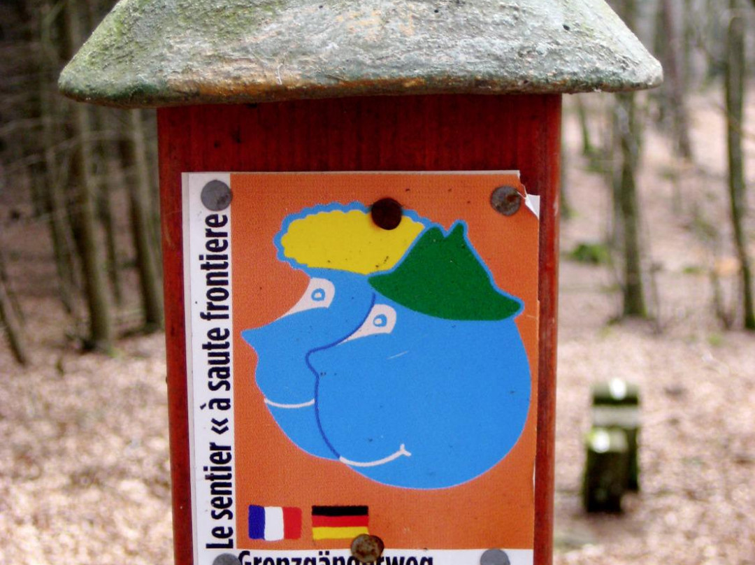 Nothweilerer Grenzgängerweg景点图片