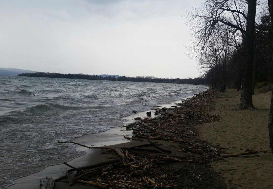 Leddy Park-伯灵顿必去景点