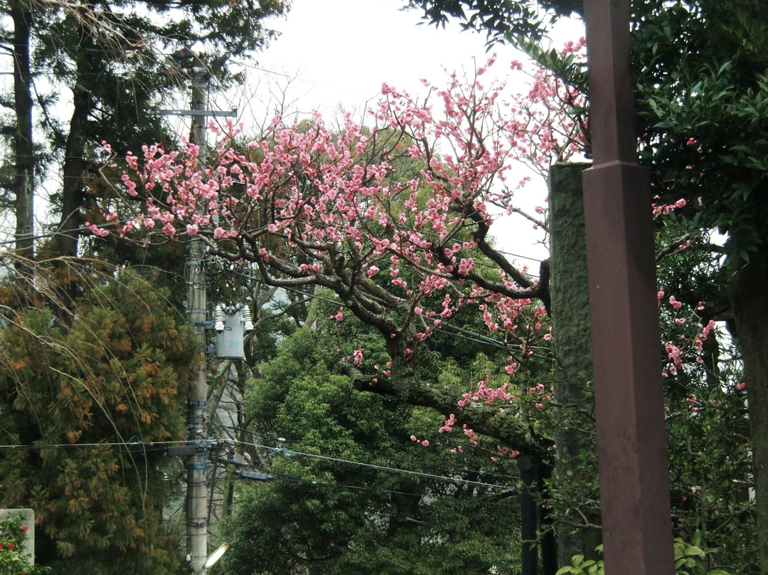 Tenju-in-热海市必去景点