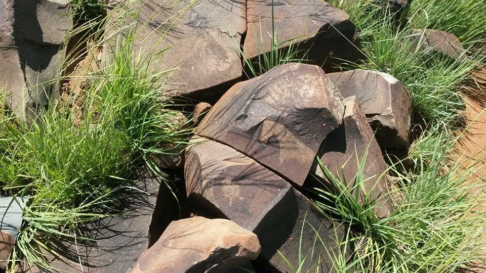 Wildebeest Kuil Rock Art Centre-金伯利必去景点