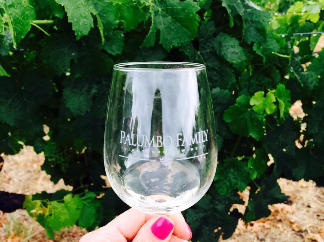 Palumbo Family Vineyards & Winery-特曼库拉必去景点