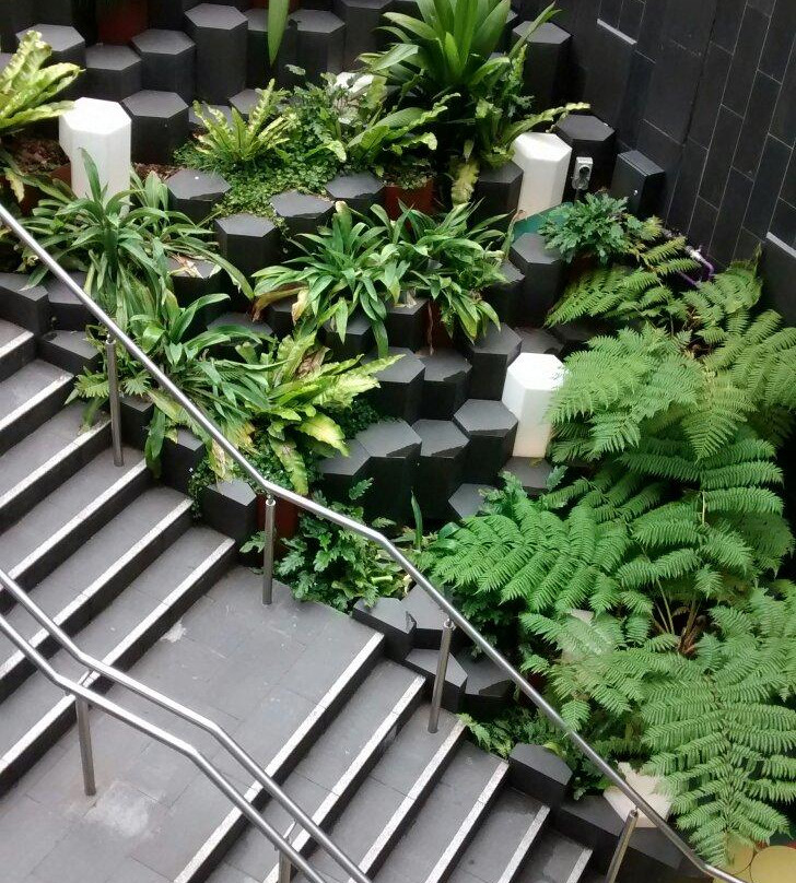 Wollongong Central-卧龙岗市必去景点