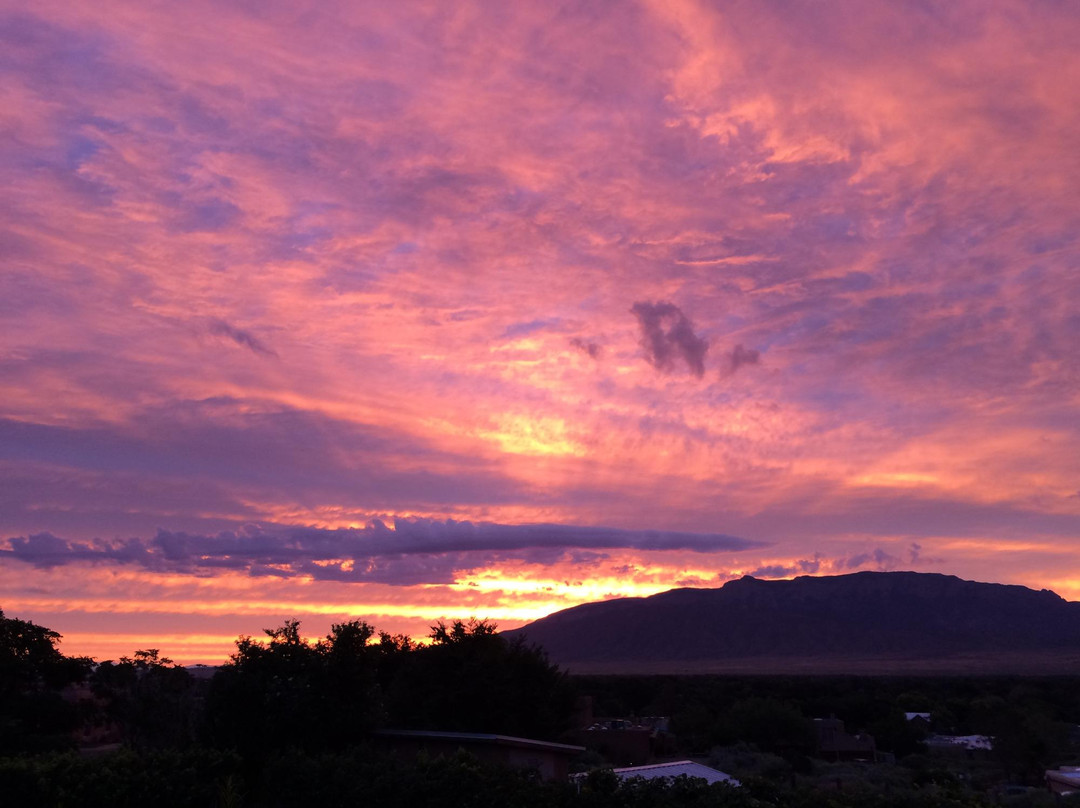 Acequia Vineyards & Winery景点图片