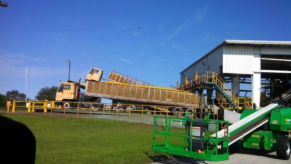 Sugarland Tours-克莱维斯顿必去景点