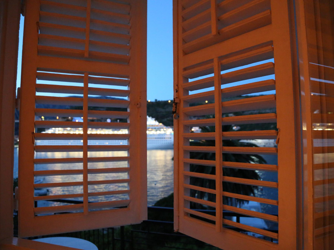 Guest House Radovic主图