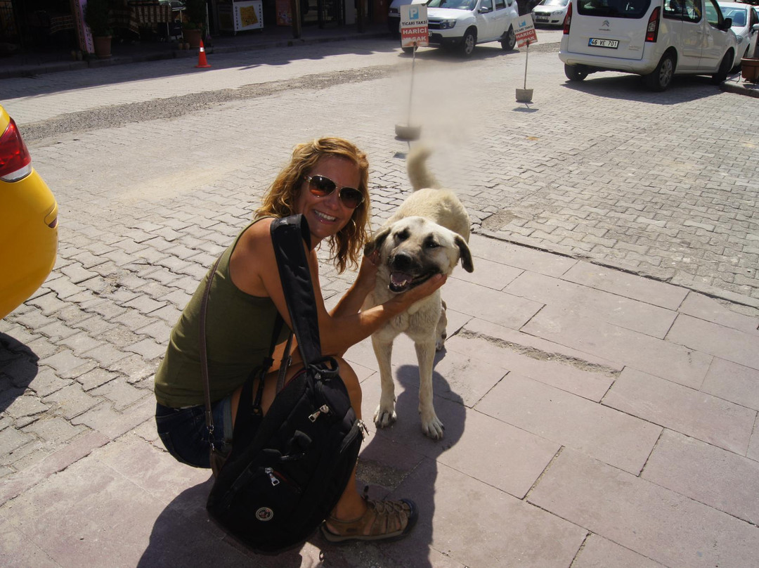 Authentic Holidays Temenus Tour-Private Tours景点图片