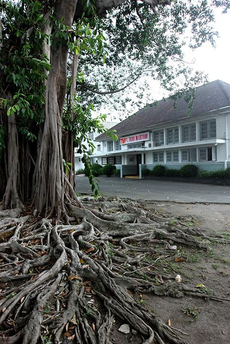 Taru Martani-日惹必去景点