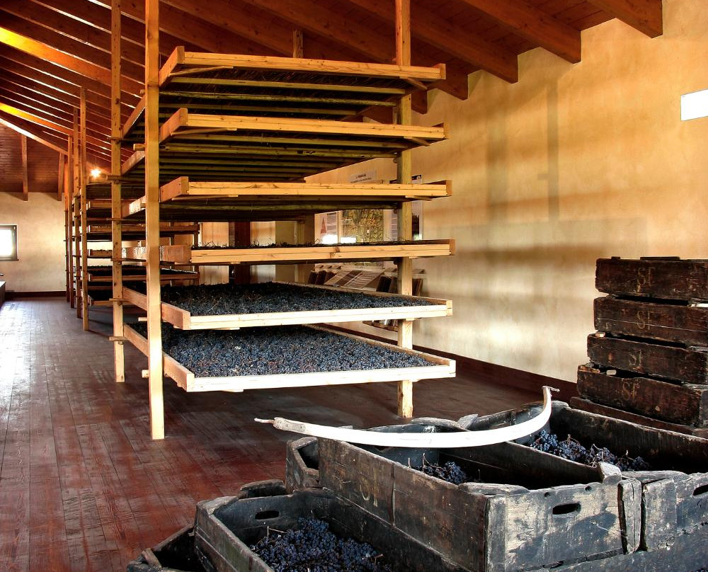 Cantina Valpolicella Negrar-维罗纳必去景点