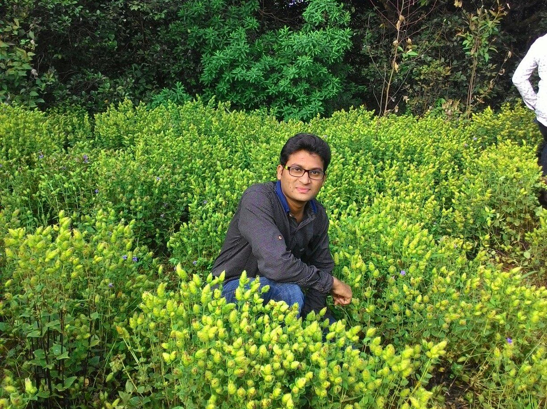 Sunset Spot & Picnic-暹粒必去景点