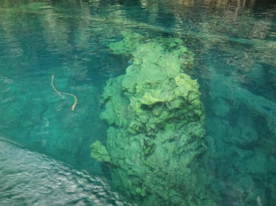 Labuan Cermin Lake-伯劳必去景点