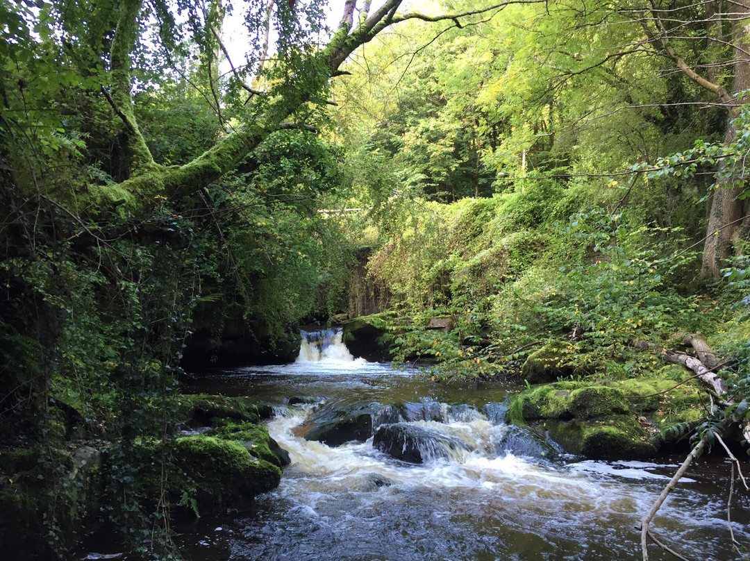 Clydach Gorge景点图片