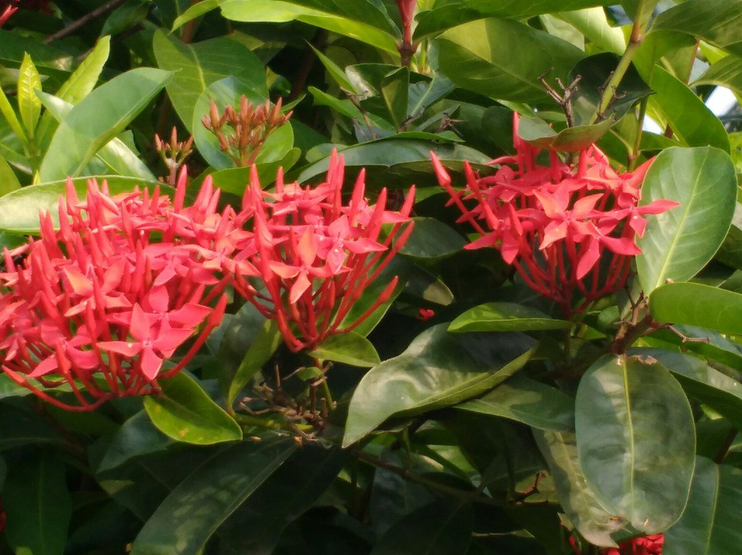 Deul Park Eco Resort主图