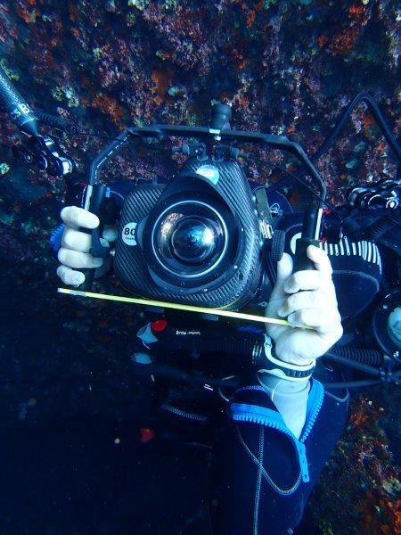 No Limit Diver Diving Center-Sveti Filip i Jakov必去景点