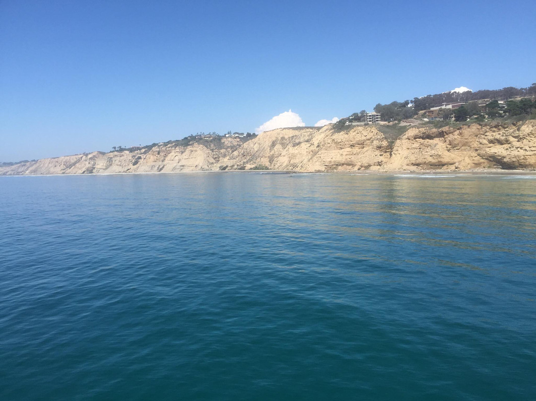 Scripps Institute of Oceanography Coastal Reserve-拉荷亚必去景点