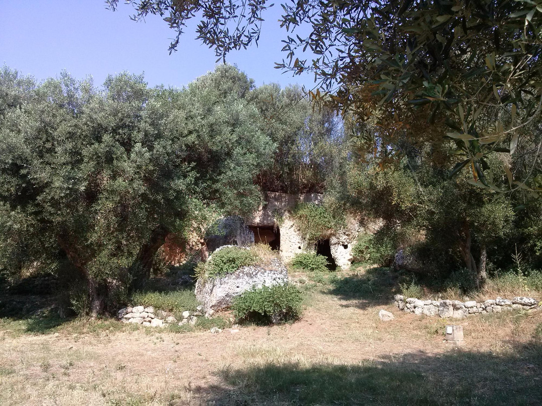 Parco Rupestre Lama D'Antico景点图片