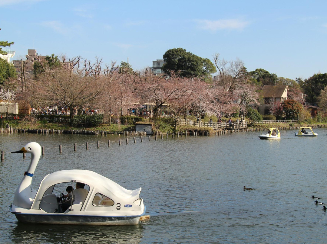 Senzokuike Park景点图片