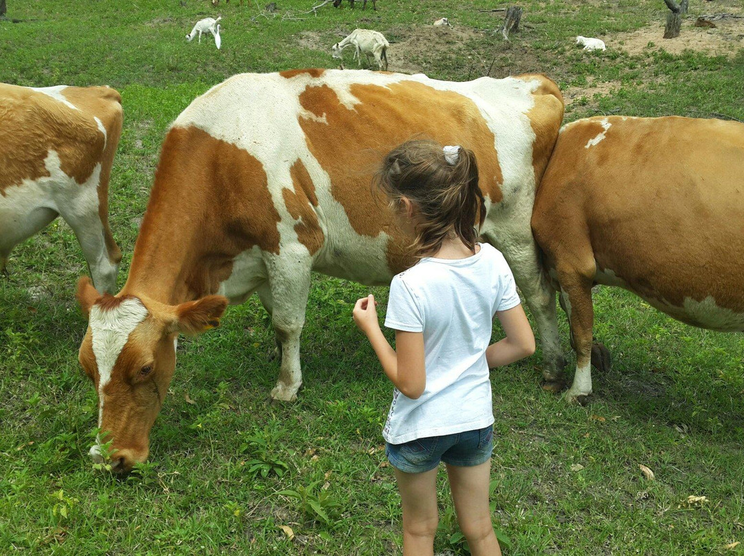 Cheese Farm & Lodge-Mtubatuba必去景点