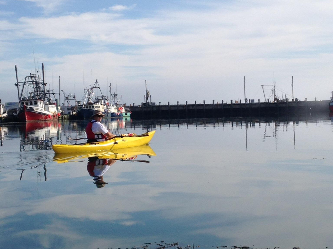Dockside Kayak Rentals-Digby必去景点