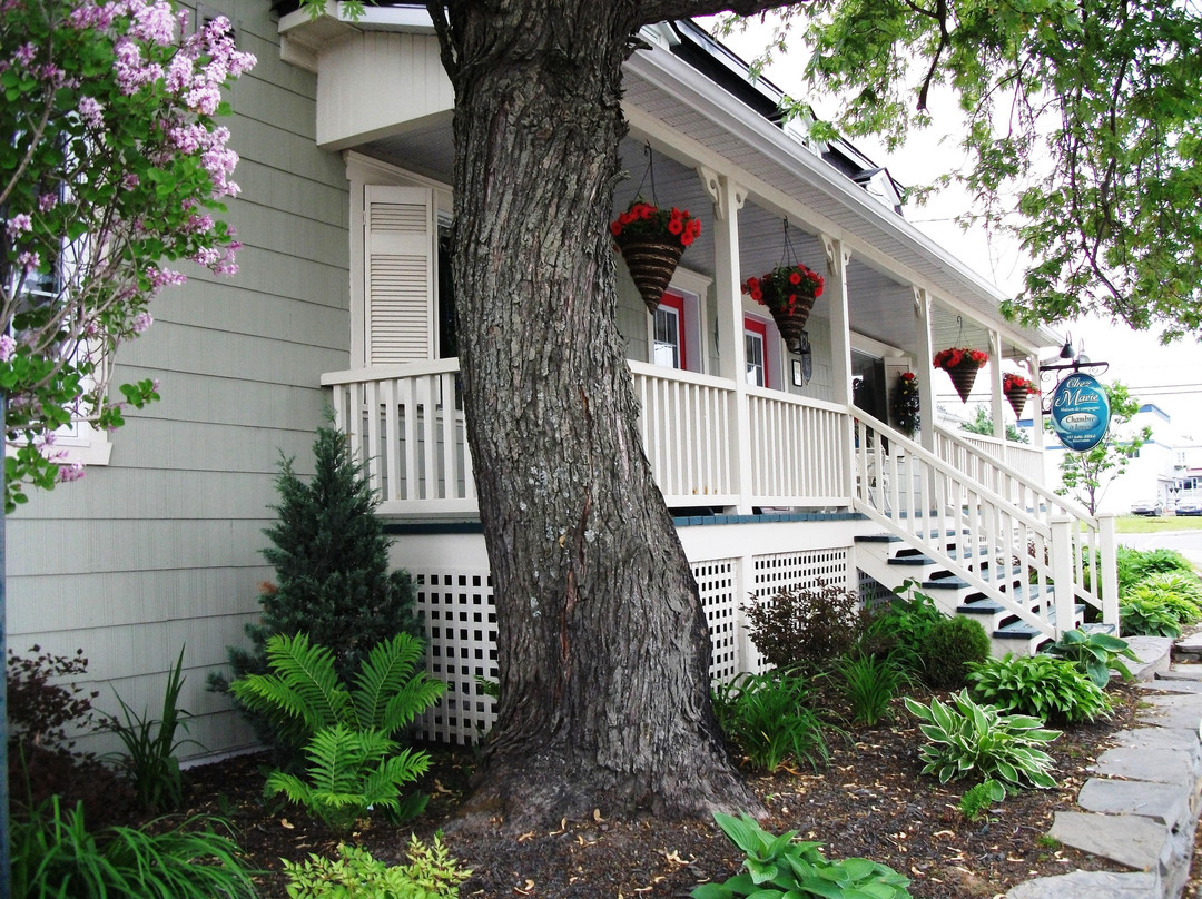 Chez Marie-Chambres D'Hotes主图