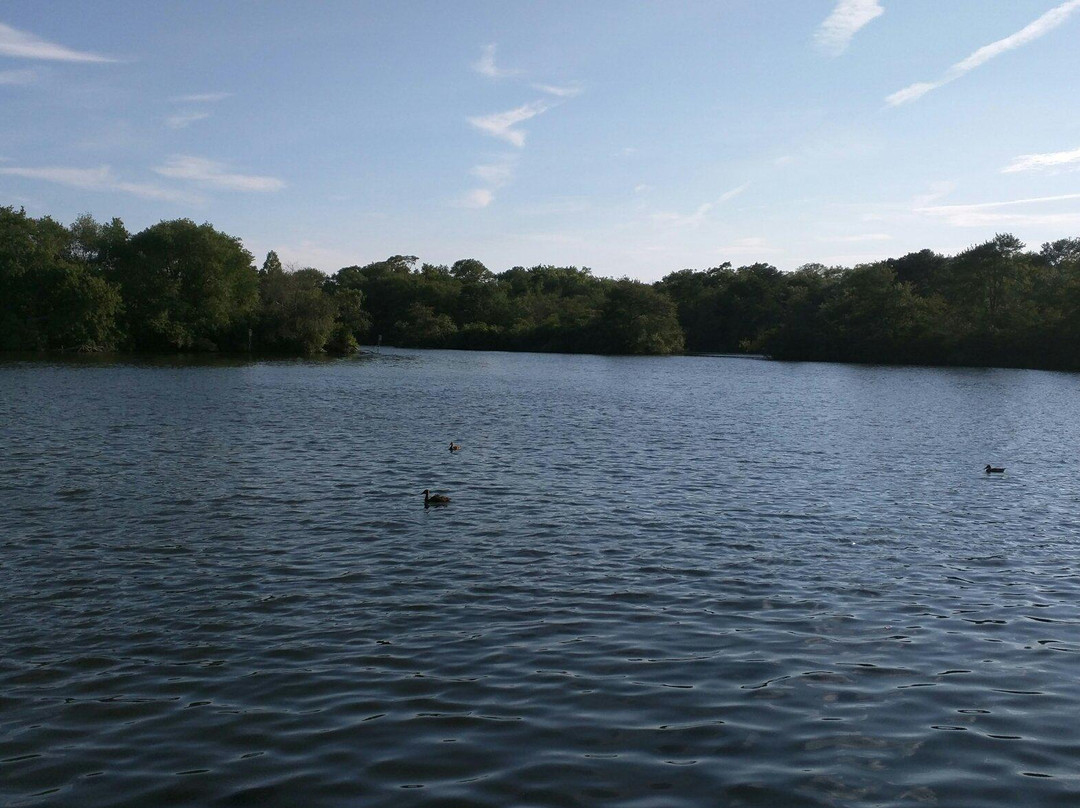 Belmont Lake State Park-North Babylon必去景点
