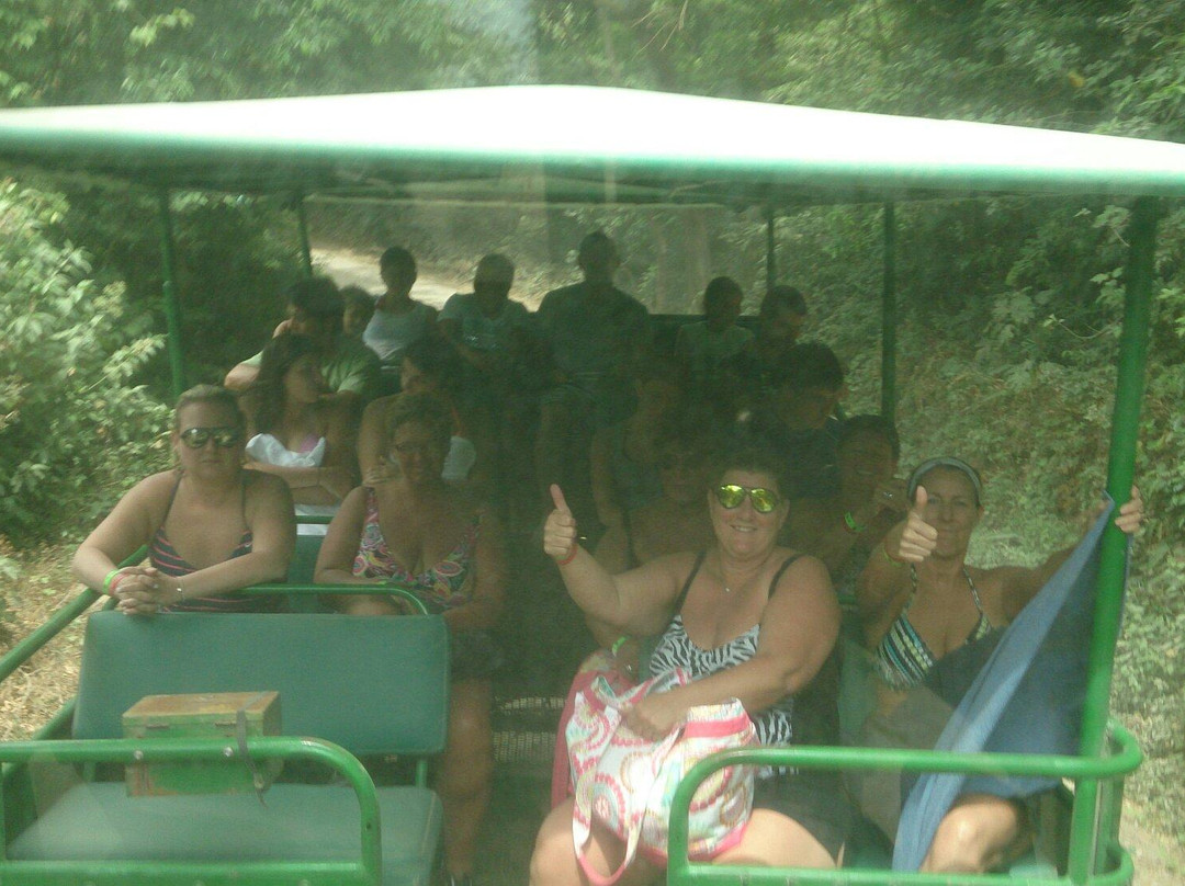 Costa Rica Adventures Travels景点图片