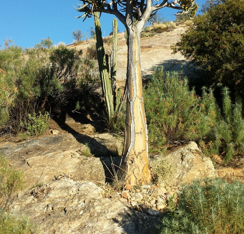 Rendezvous Self Catering Accommodation主图