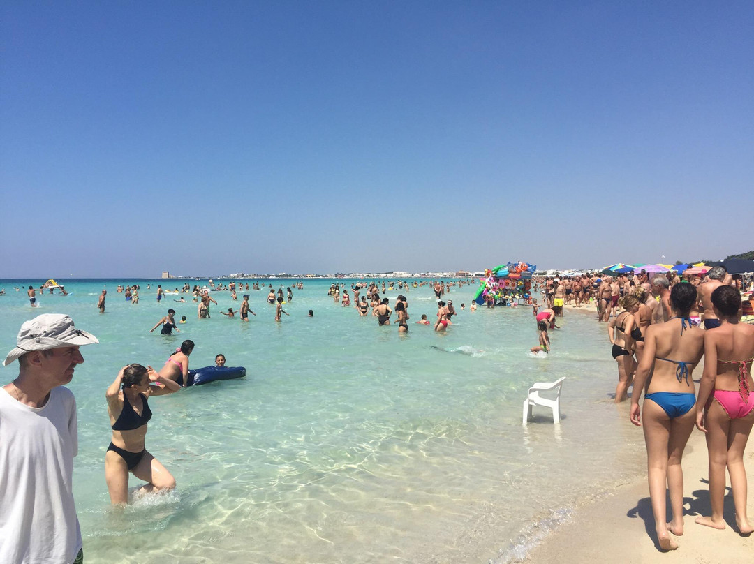 Spiaggia Bacino Grande景点图片