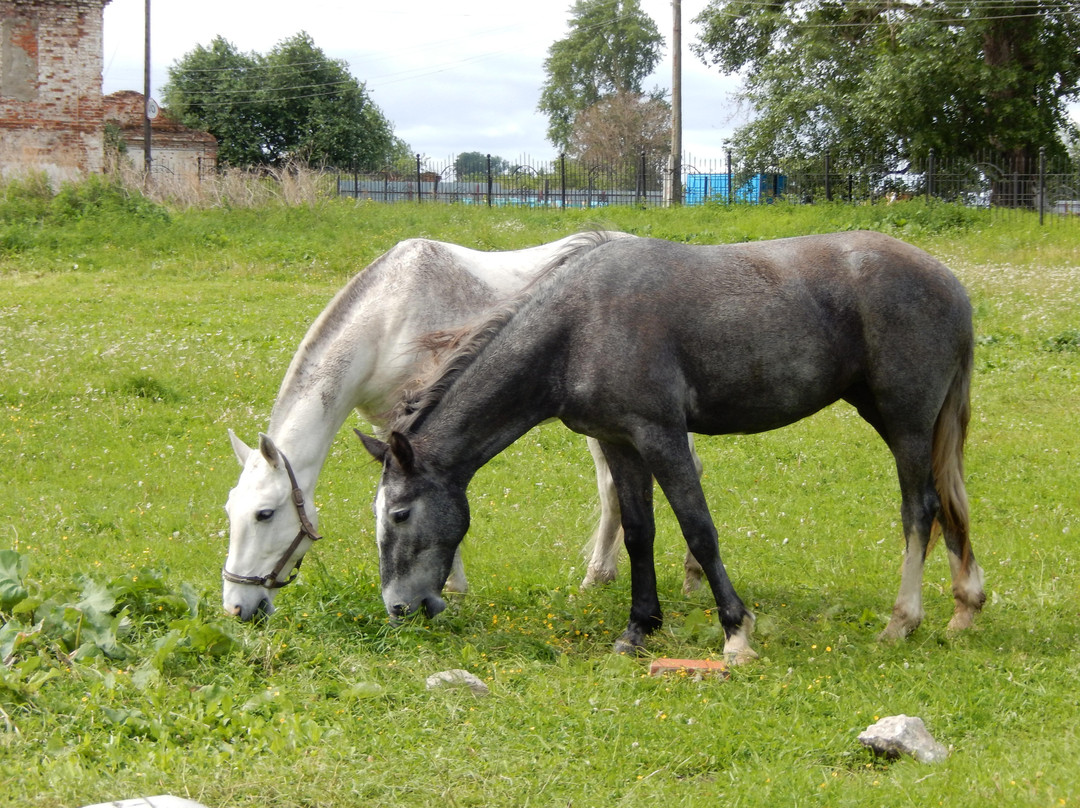 Stroganov Chambers-Usolye必去景点