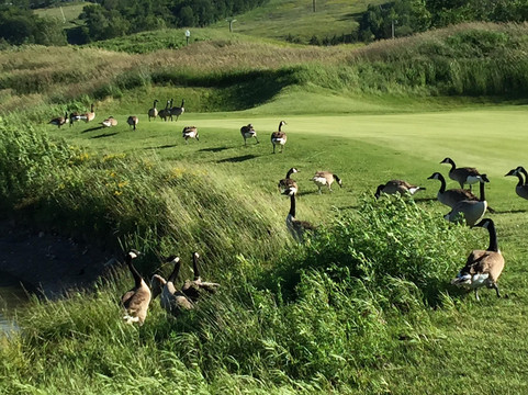 Monterra Golf-蓝山必去景点