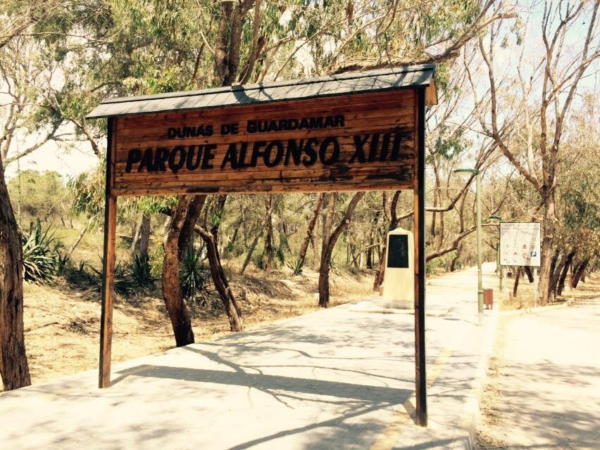 Parque Alfonso XIII景点图片