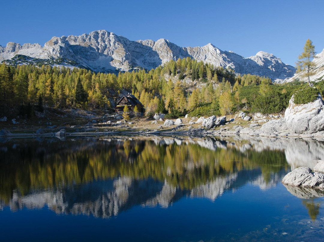 Amigo Outdoor Adventures Agency景点图片