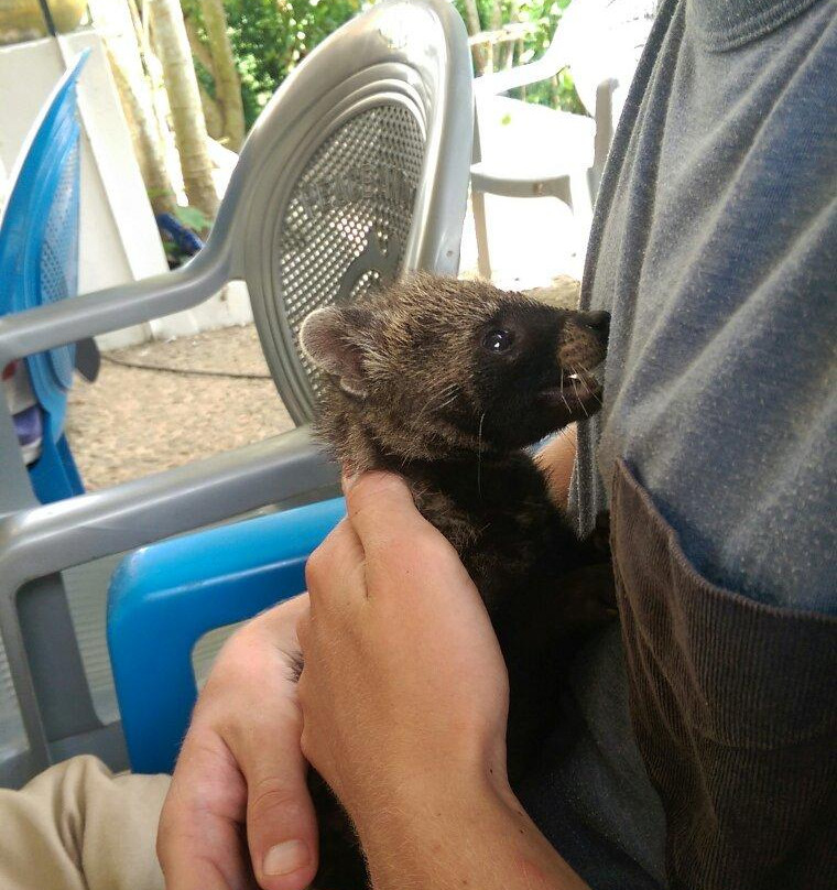 Monkey Forest Resort-Cape Coast必去景点