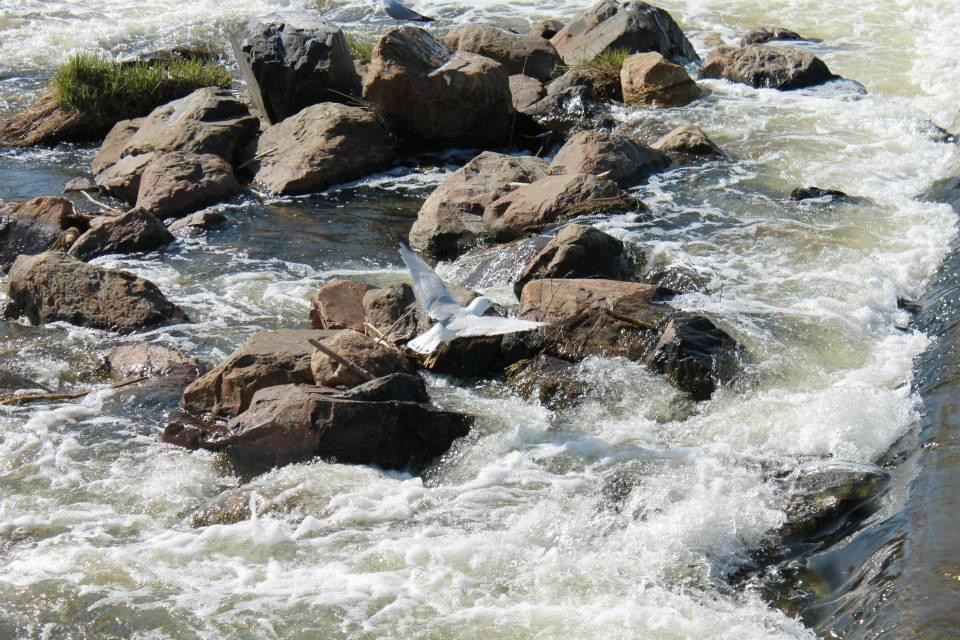 Fielding Memorial Park-Sudbury必去景点