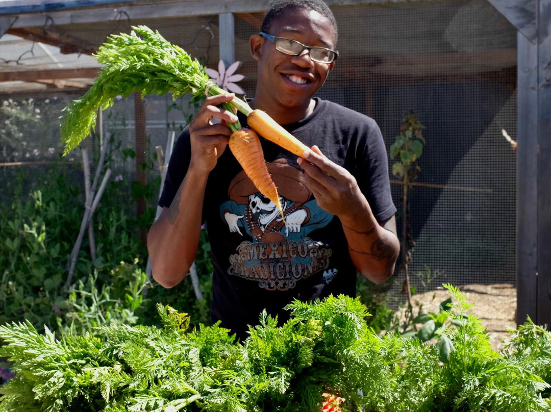 Urban Adamah-伯克利必去景点