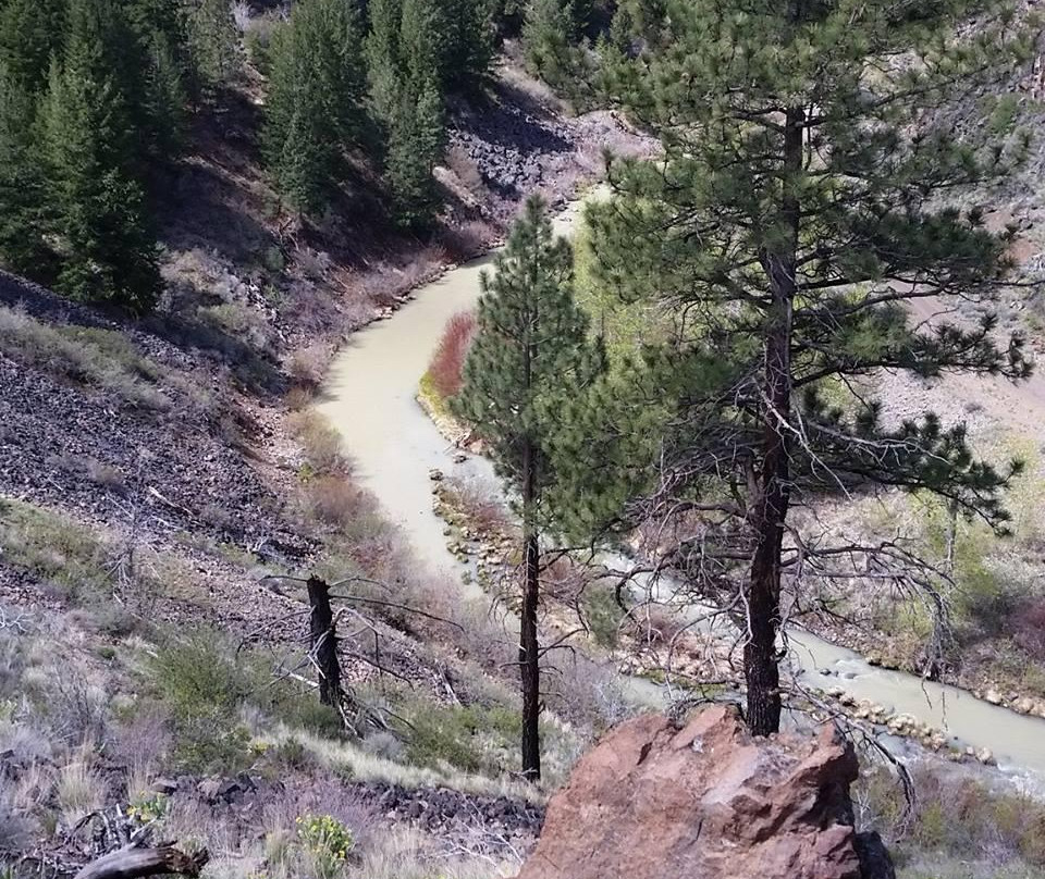 Susanville Ranch Park景点图片