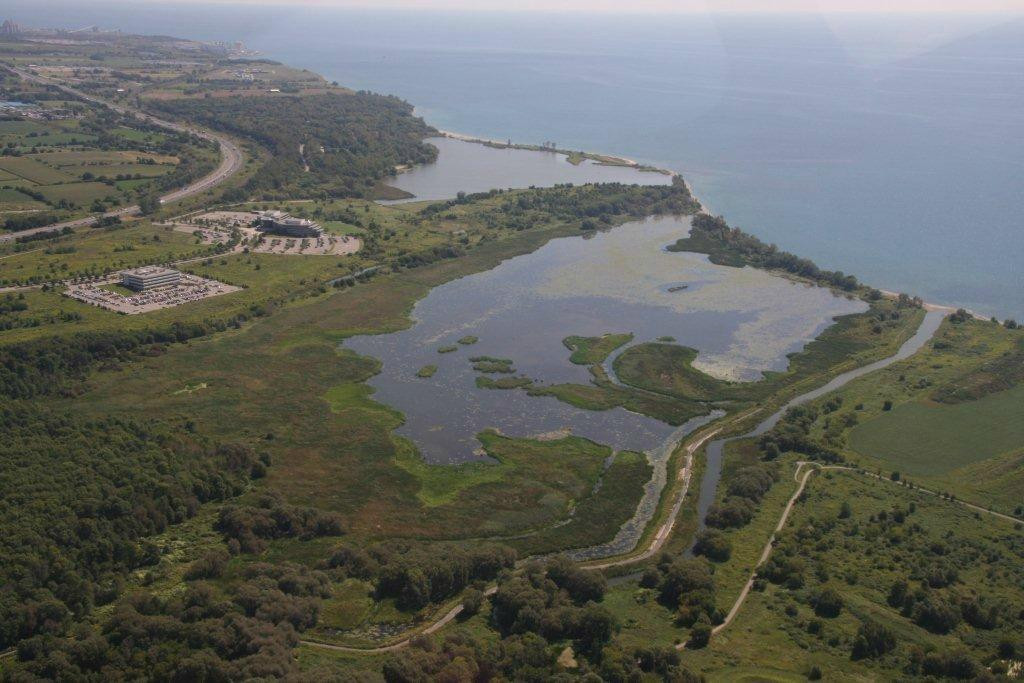 McLaughlin Bay Wildlife Reserve-奥沙瓦必去景点