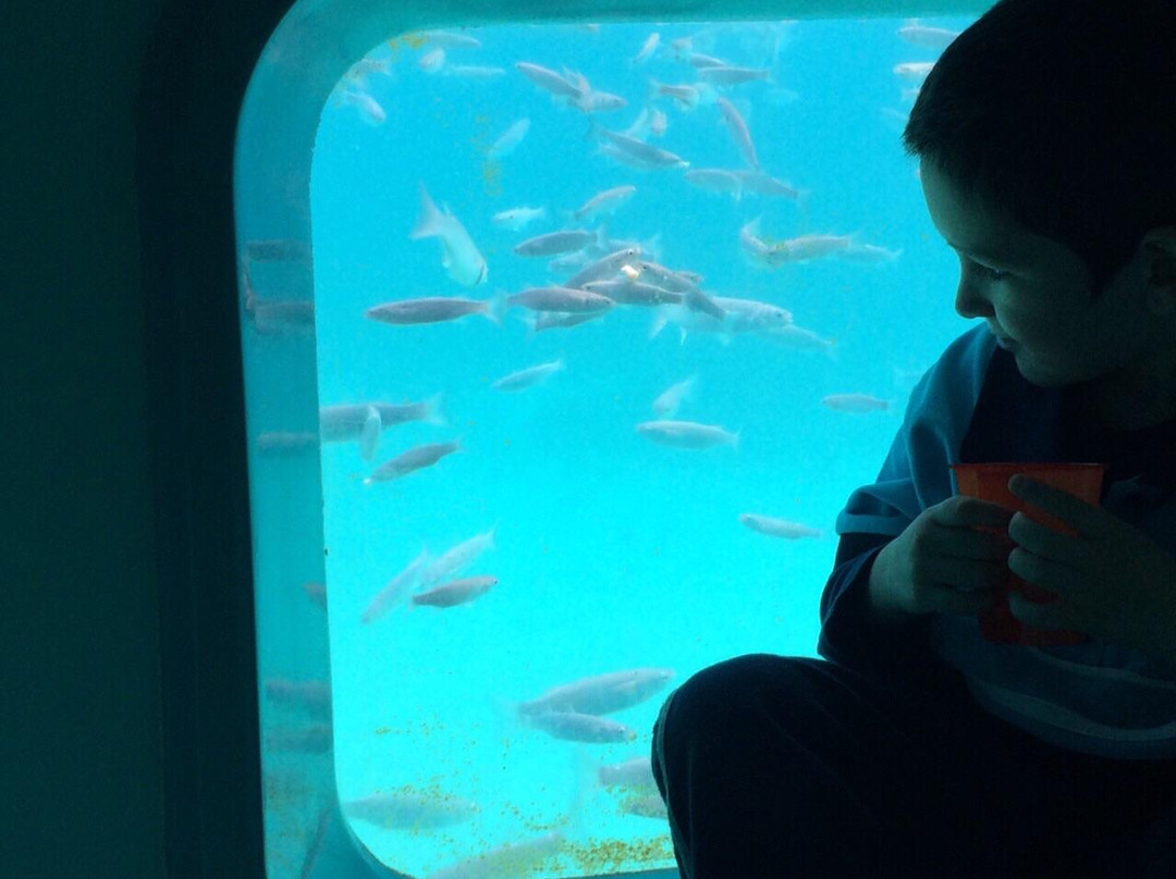 Sea Adventure-Bugibba必去景点