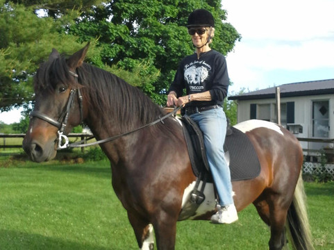 Sunburst Horsemanship School-列克星敦必去景点