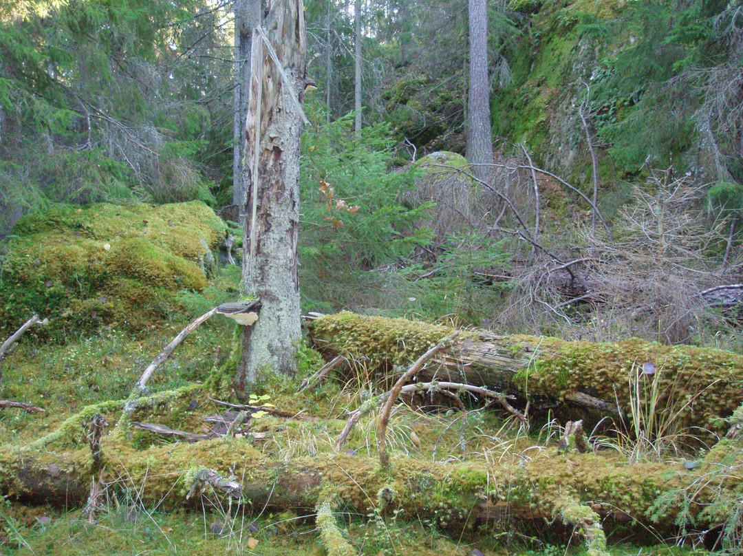 Gronudde Naturreservat-Vena必去景点